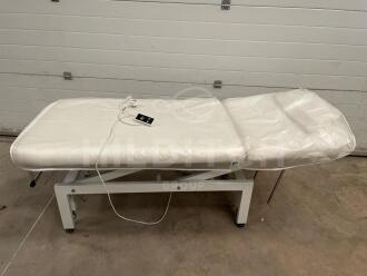 Unbranded 2-Section Electric Patient Couch