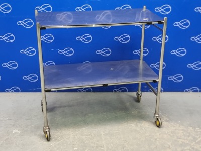 Stainless Steel 2 Tier Instrument Trolley 120x60mm