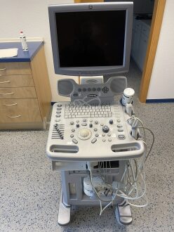 GE Logiq P5 Ultrasound Vet Edition