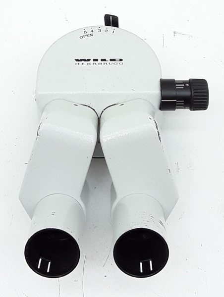 Wild Heerbrugg Binocular Hear for Microscope