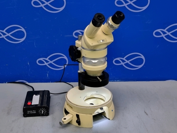 Wild Heerbrugg M5-63660 Stereo Microscope