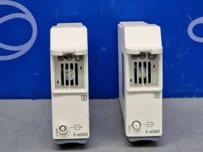 2 x GE E-sCAiO-00 Module