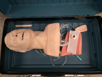 Laerdal Airway Management Trainer (incomplete) - 2