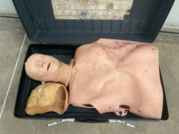 Laerdal Resusci Anne Torso Training Manikin