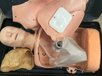 Laerdal Resusci Anne Torso Training Manikin - 2