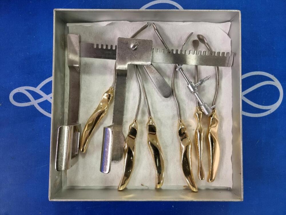 Set of Endoscopic Brow Lift Surgical Instruments