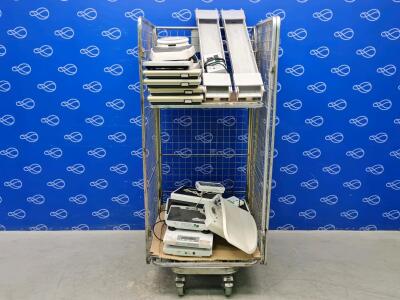 Quantity of Assorted Scales