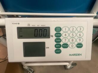 Marsden Chair Scales - 2
