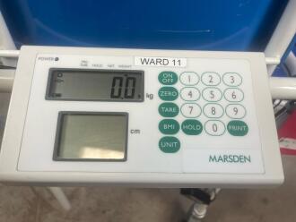 Marsden Chair Scales - 2