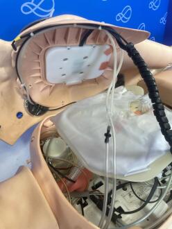 Full Body Training Manikin - 4