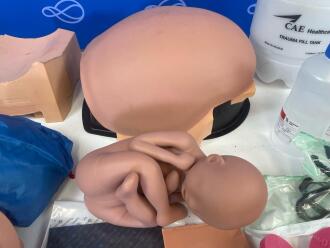 Selection of Various Maternal Manikin Spares & Accessories - 3