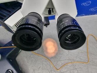 Leica M844 Operating Microscope on Leica F40 Base - 6