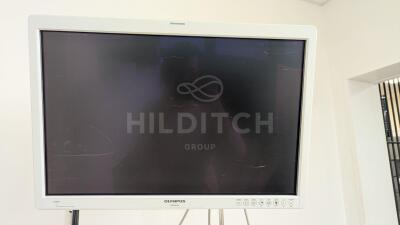 Olympus OEV261H Screen