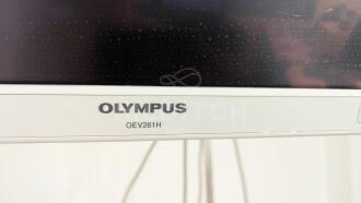 Olympus OEV261H Screen - 3