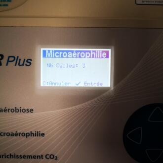 Sobioda Bact-R Plus Laboratory Anaerobic System - 15