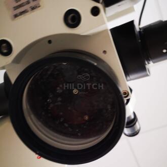 Leica M820 F19 Microscope - 10