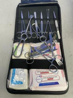 Sirius Medical Orion Pintuition Navigation System - 7