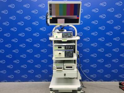 Olympus Visera Elite OTV-S190 Stack System