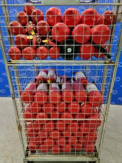 Approx. 120 x Assorted Fire Extinguishers - 2