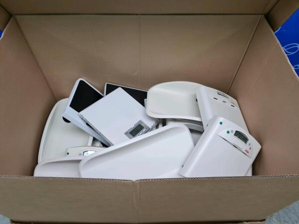 Quantity of Assorted Scales