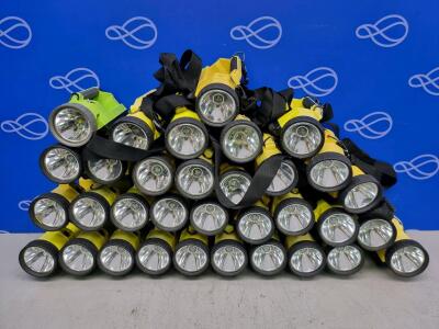 32 x Bright Star Lighthawk Gen II Torch & 1 x Bright Star Lighthawk Vision 600 Torch