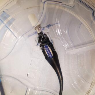 Mauna Kea Gastroflex Confocal Miniprobe - 4
