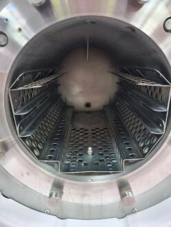 Eschmann Little Sister SES 113B Autoclave - 2