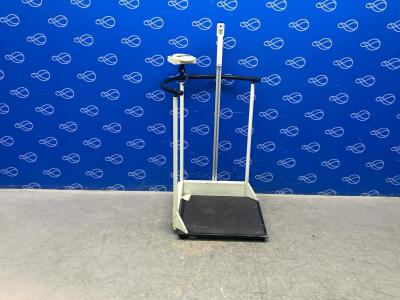 Seca Digital Stand on Scales