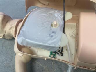 Laerdal Resusci Anne Training Manikin - 3