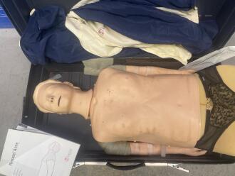 Laerdal Resusci Anne Training Manikin - 2