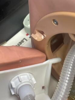 Laerdal Airway Management Trainer - 3