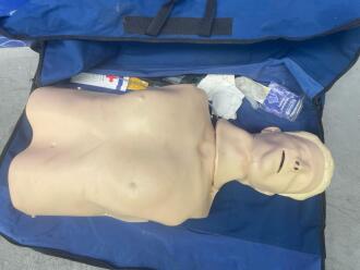 Resusci Anne Torso Training Manikin - 2
