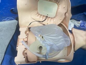 Resusci Anne Torso Training Manikin - 3