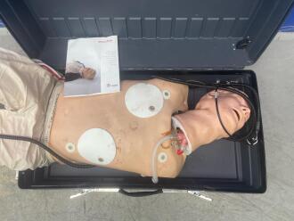 Laerdal Resusci Anne Modular System Training Manikin - 2