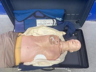 Laerdal Resusci Anne Modular System Training Manikin - 2